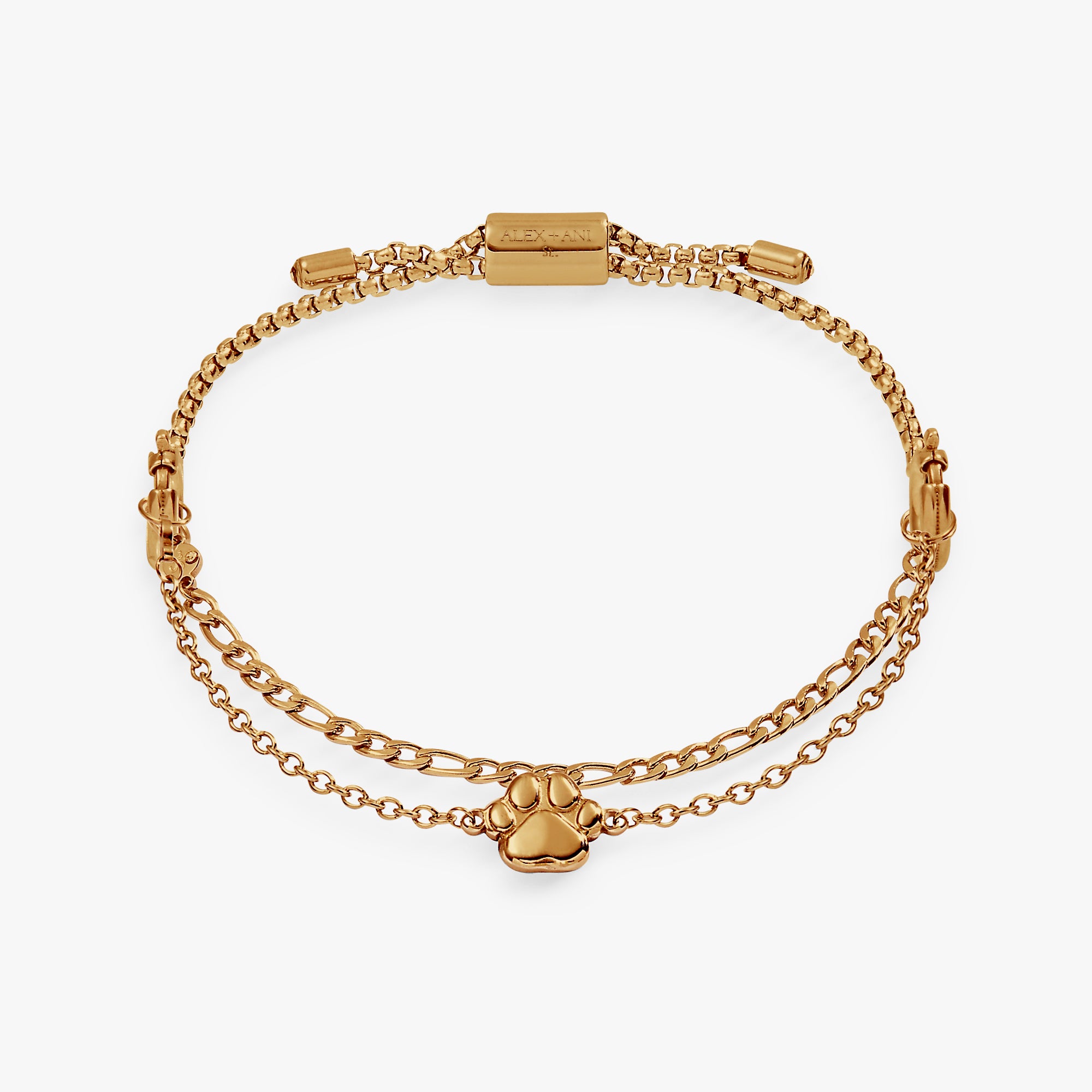 Stainless Steel Gold