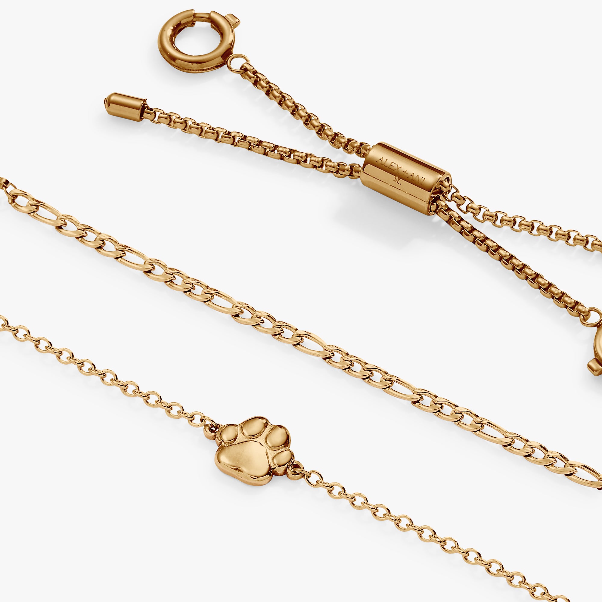Stainless Steel Gold