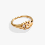 Stainless Steel Gold