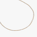Stainless Steel Gold
