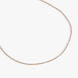 Stainless Steel Gold