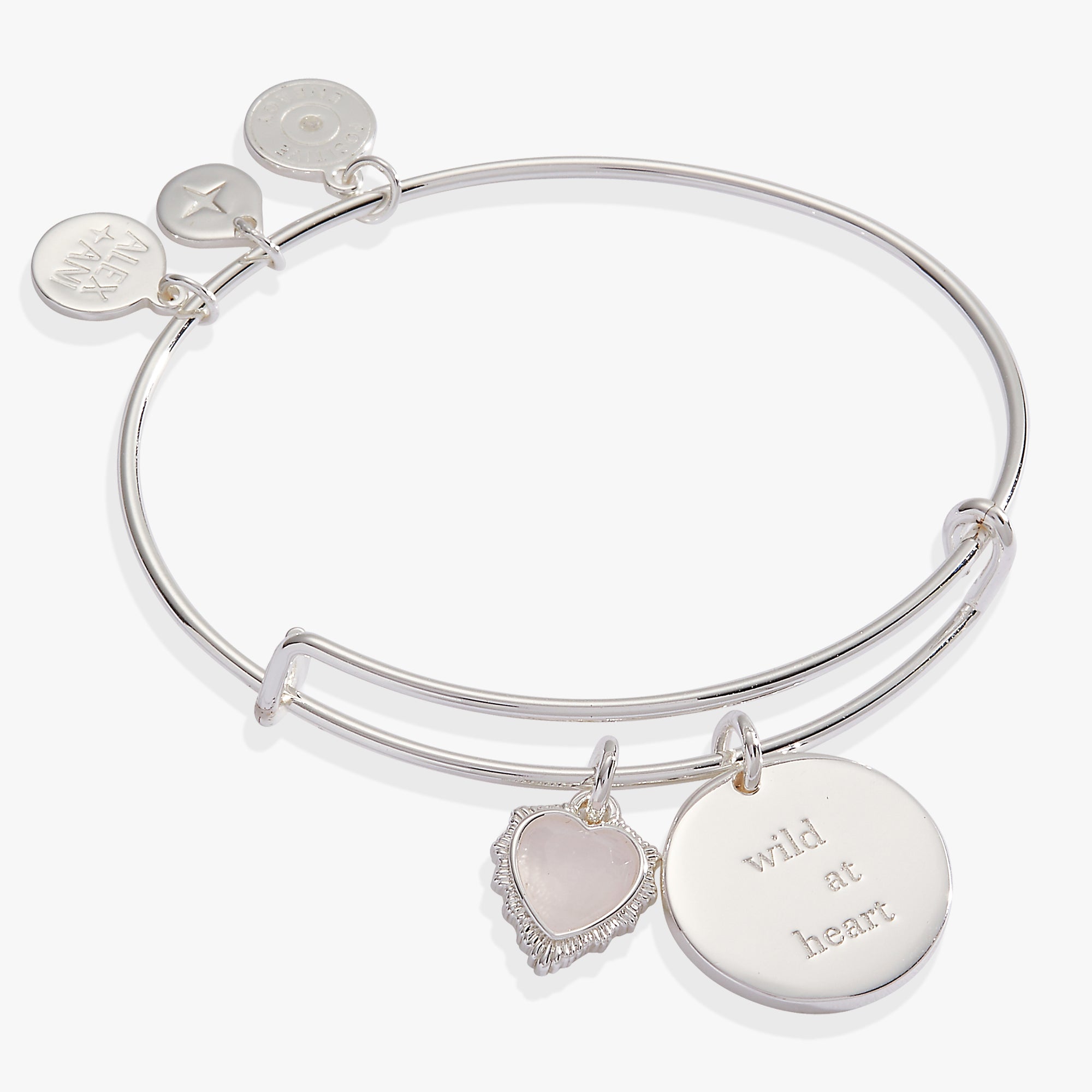 Wild at Heart” Duo Charm Bangle Alex and Ani – ALEX AND ANI