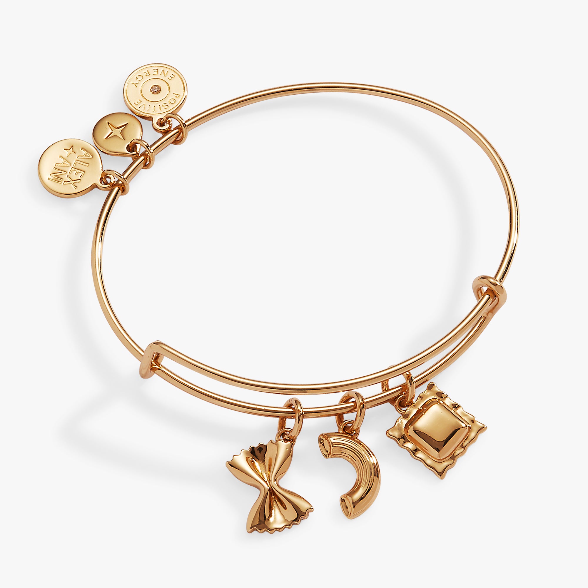 Pasta Multi Charm Bangle Alex and Ani – ALEX AND ANI