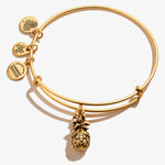Rafaelian Gold