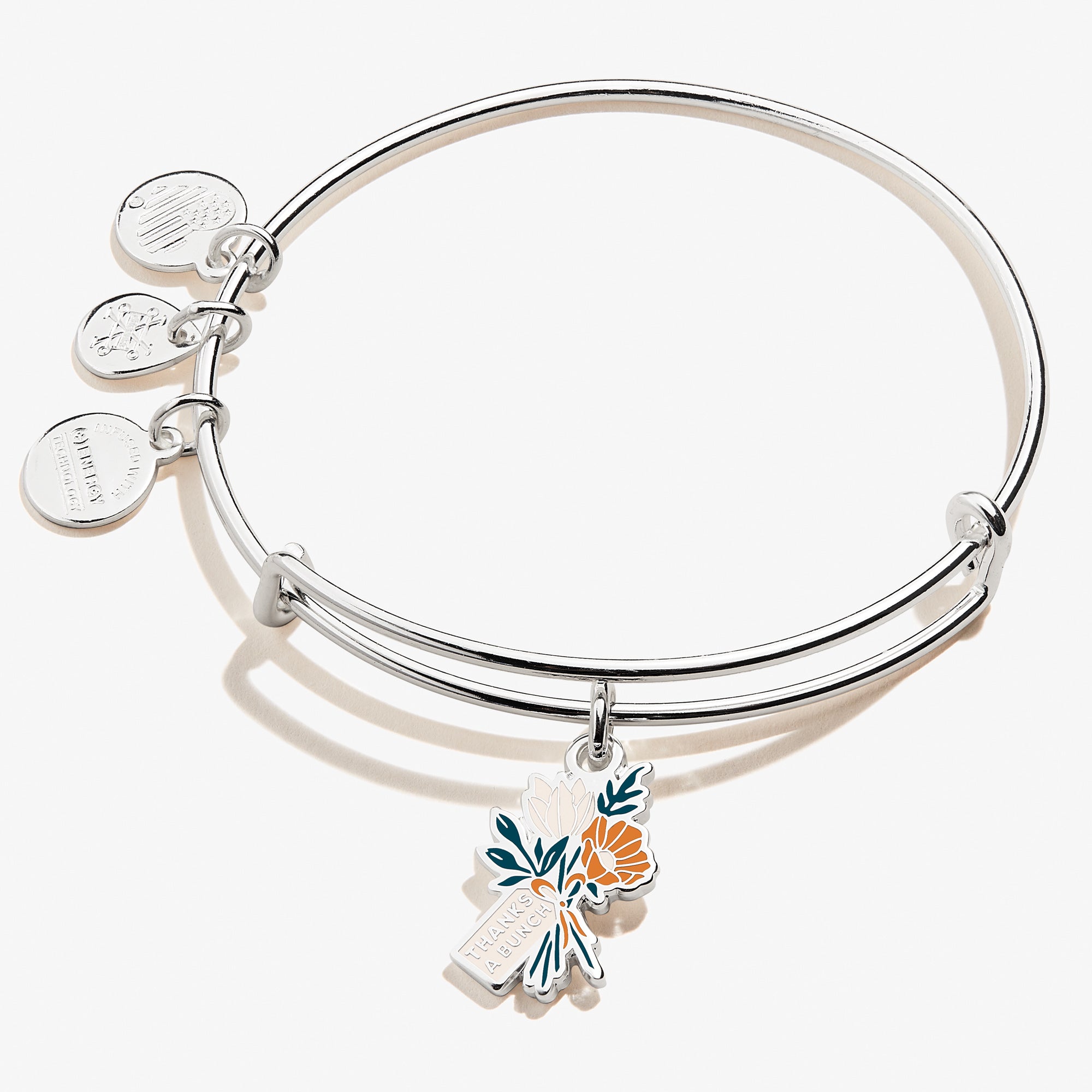 Thanks A Bunch' Charm Bangle Alex and Ani – ALEX AND ANI