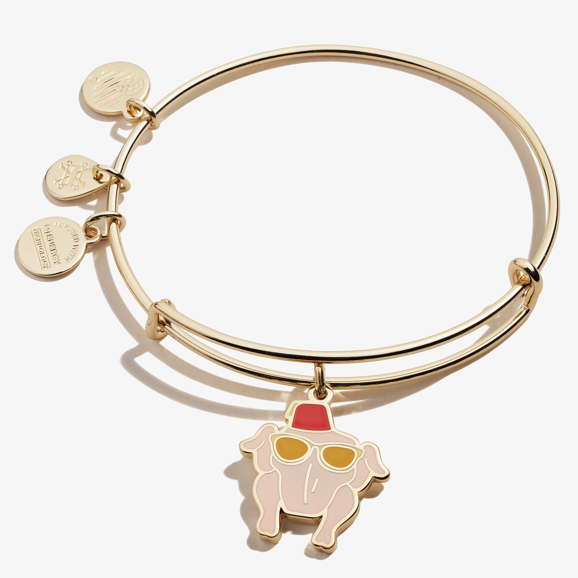 Friends Thanksgiving Turkey Charm Bangle Alex and Ani – ALEX AND ANI