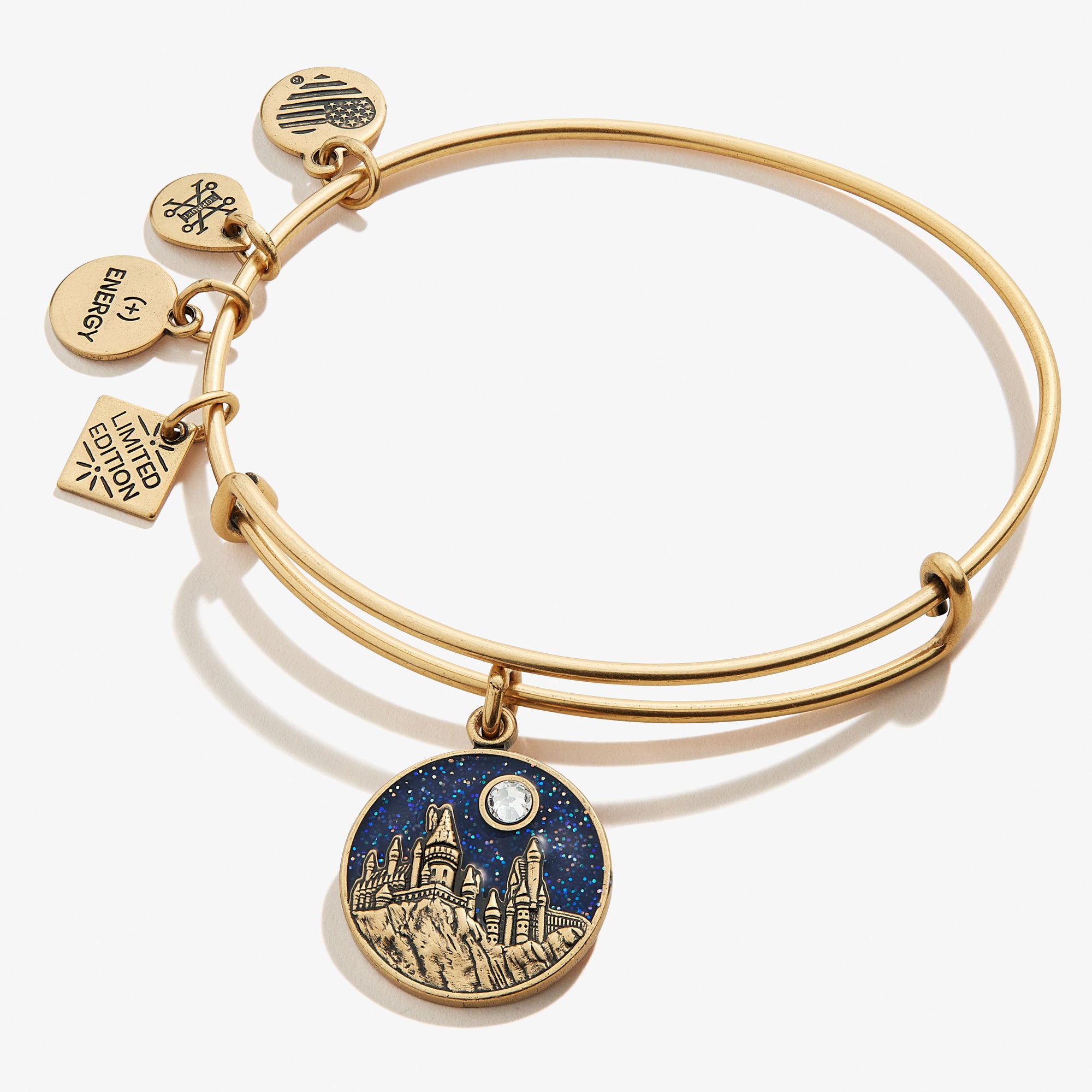 Harry Potter™ Hogwarts™ Castle Charm Bangle – ALEX AND ANI