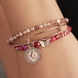 'Change Brings Opportunity' Butterfly Duo Charm Bangle