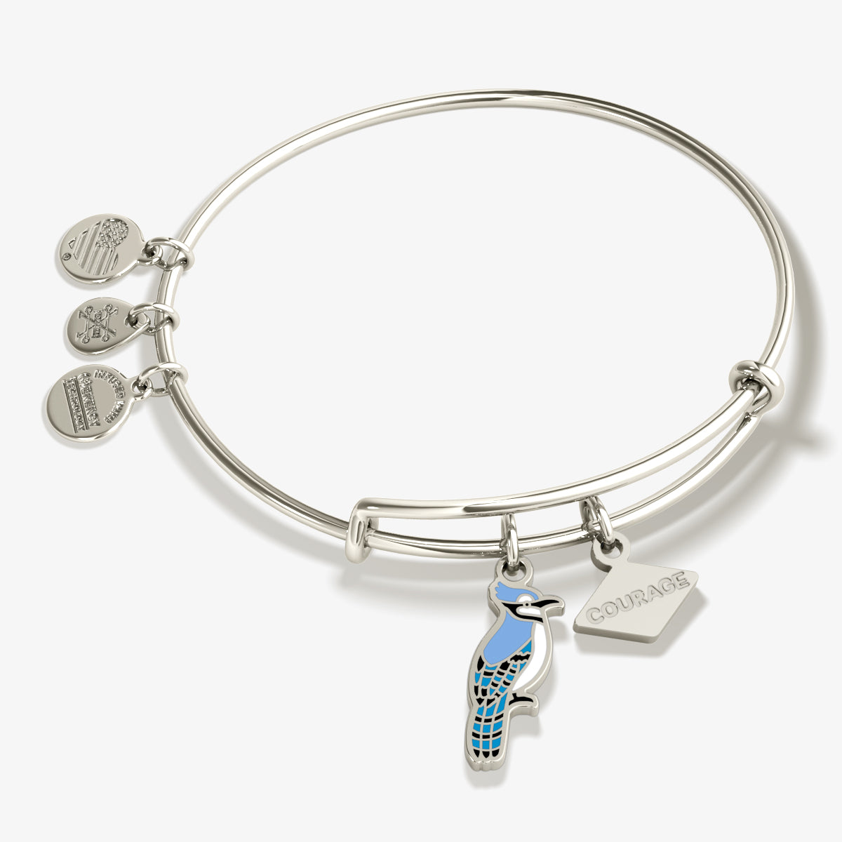 Courage' Blue Jay Charm Bangle Bracelet Alex and Ani – ALEX AND ANI