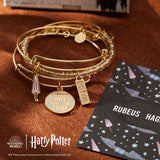 Harry Potter™ Rubeus Hagrid Bangle Bracelets, Set of 3