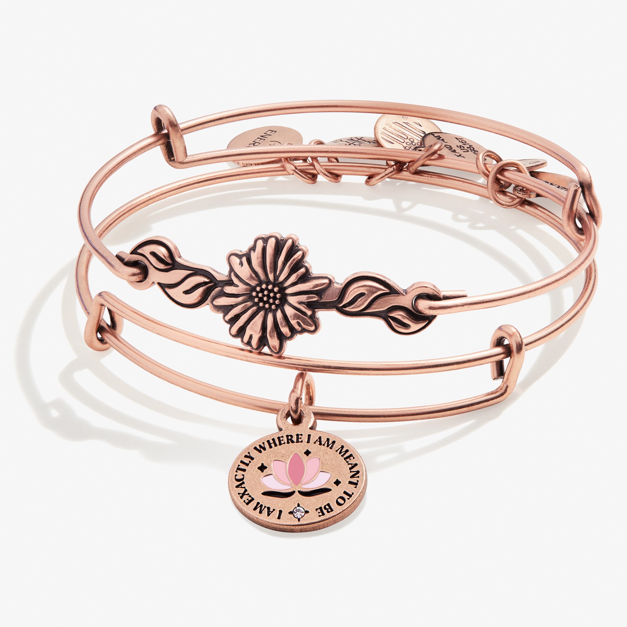 I Am Exactly Where I Am Meant To Be' Charm Bangles, Set of