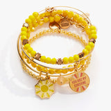 'You Are My Sunshine' Charm Bangles, Set of 5