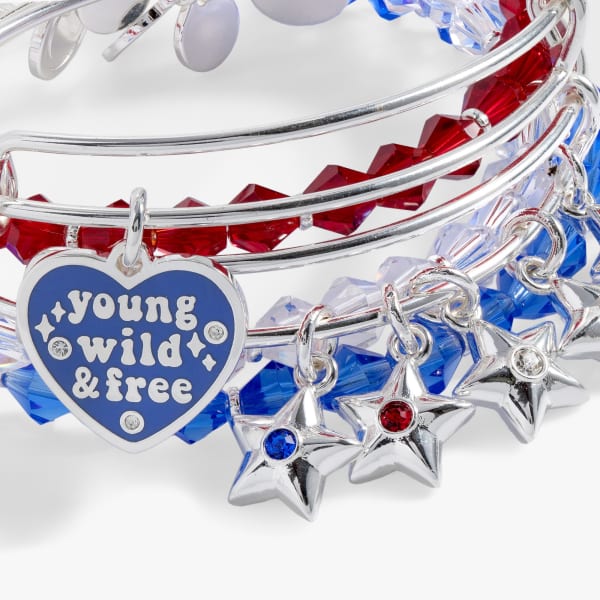/fast-image/h_600/a-n-a/files/young-wild-and-free-bangle-set-of-5-2-AA963224SS.jpg