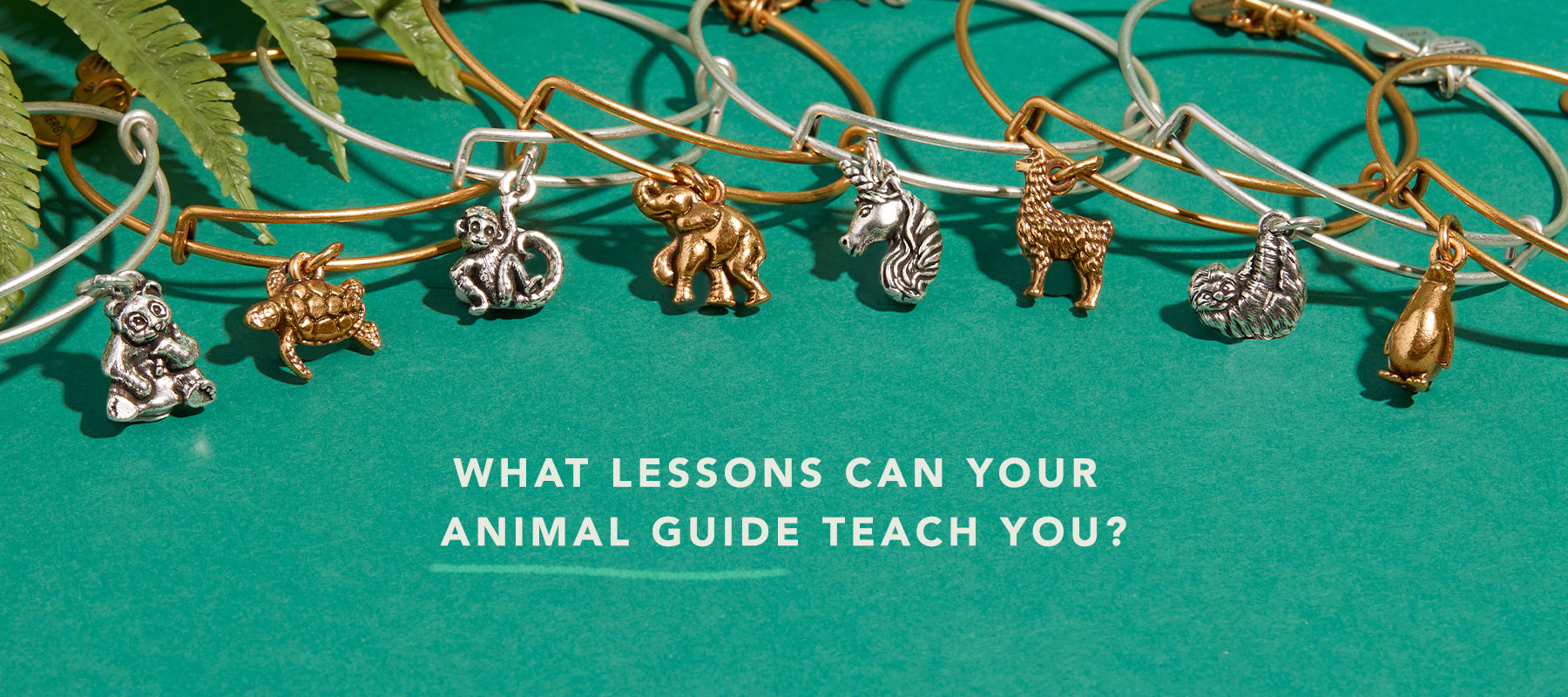 Discovering and Connecting with Your Animal Guide