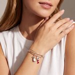 alex-and-ani_painters-duo-charm-bangle_260702_c7d844.png