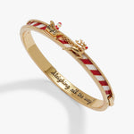 santa-sleigh-fidget-bangle-1-AO260786FSG