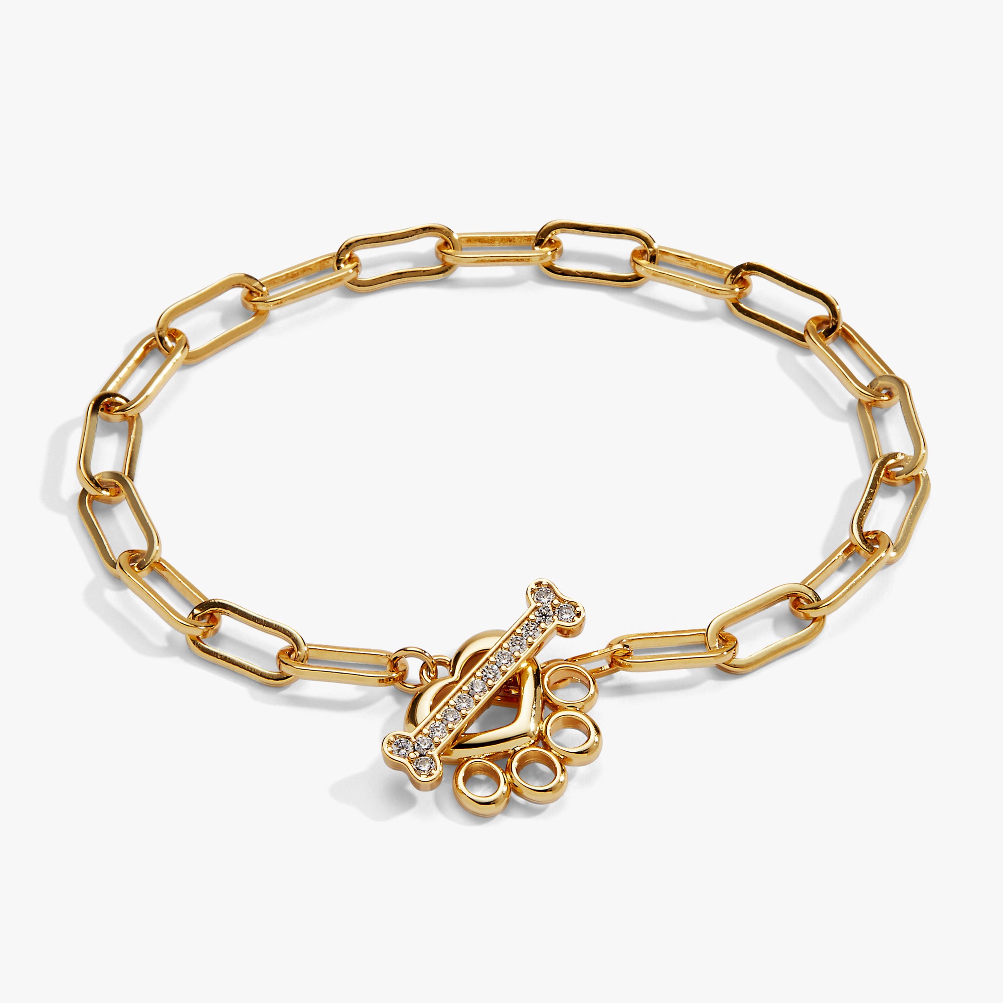 vet-tech-paw-toggle-bracelet-1-AO260485FSG