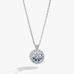 MTO-birthstone-compass-shaker-necklace-1-AO260587SSS