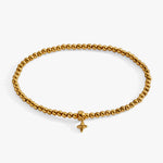Stainless Steel Gold