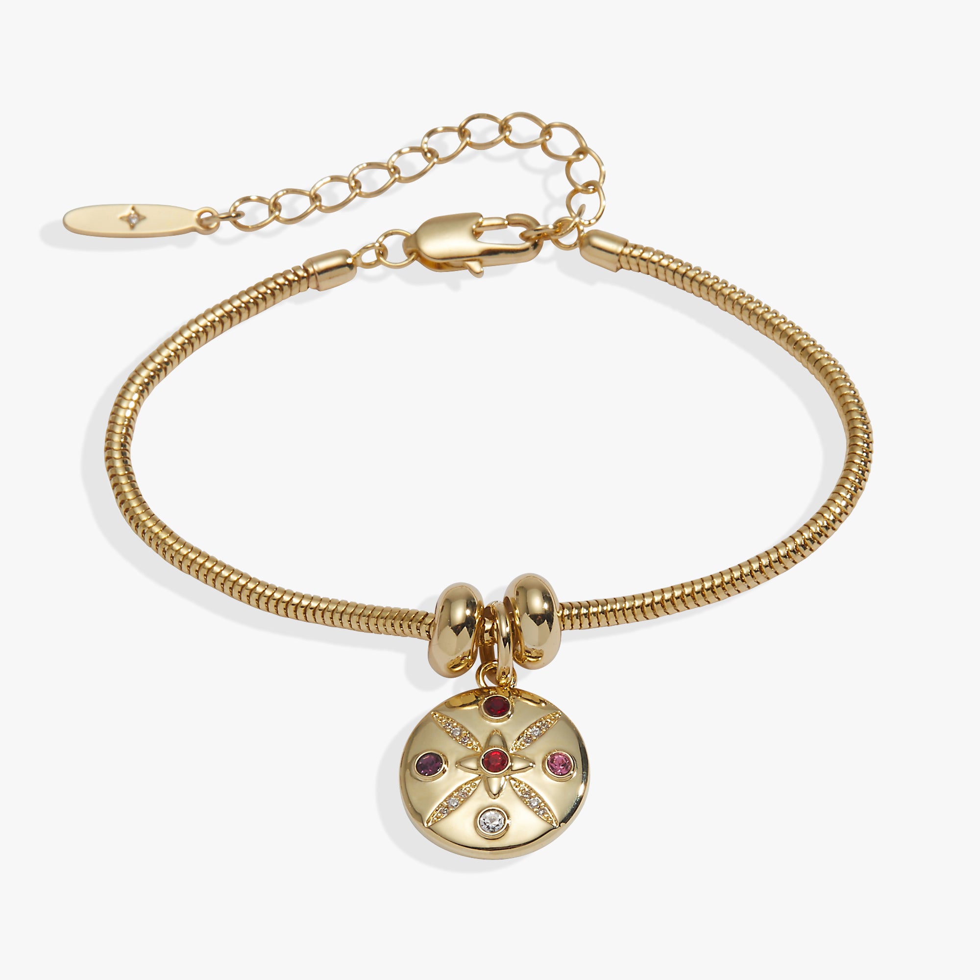 MTO-birthstone-disc-charm-bracelet-1-AO260794SSG