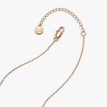 pickle-locket-necklace-4-AO260471FSG