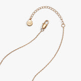 pickle-locket-necklace-4-AO260471FSG