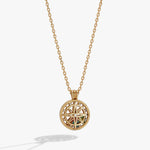 MTO-birthstone-compass-shaker-necklace-1-AO260587SSG