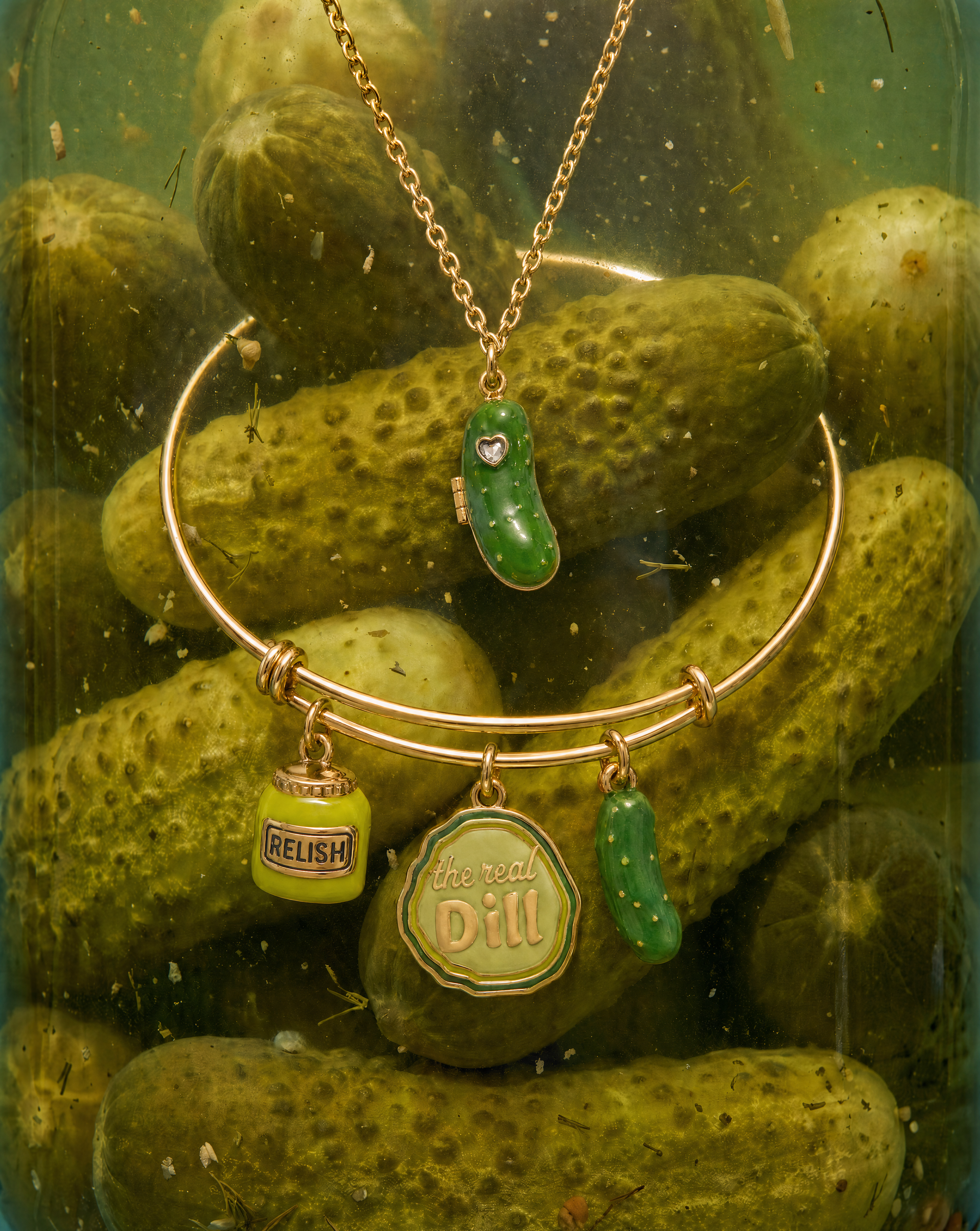 alex-and-ani_pickle-jewelry-macro_260729_17b94d.png