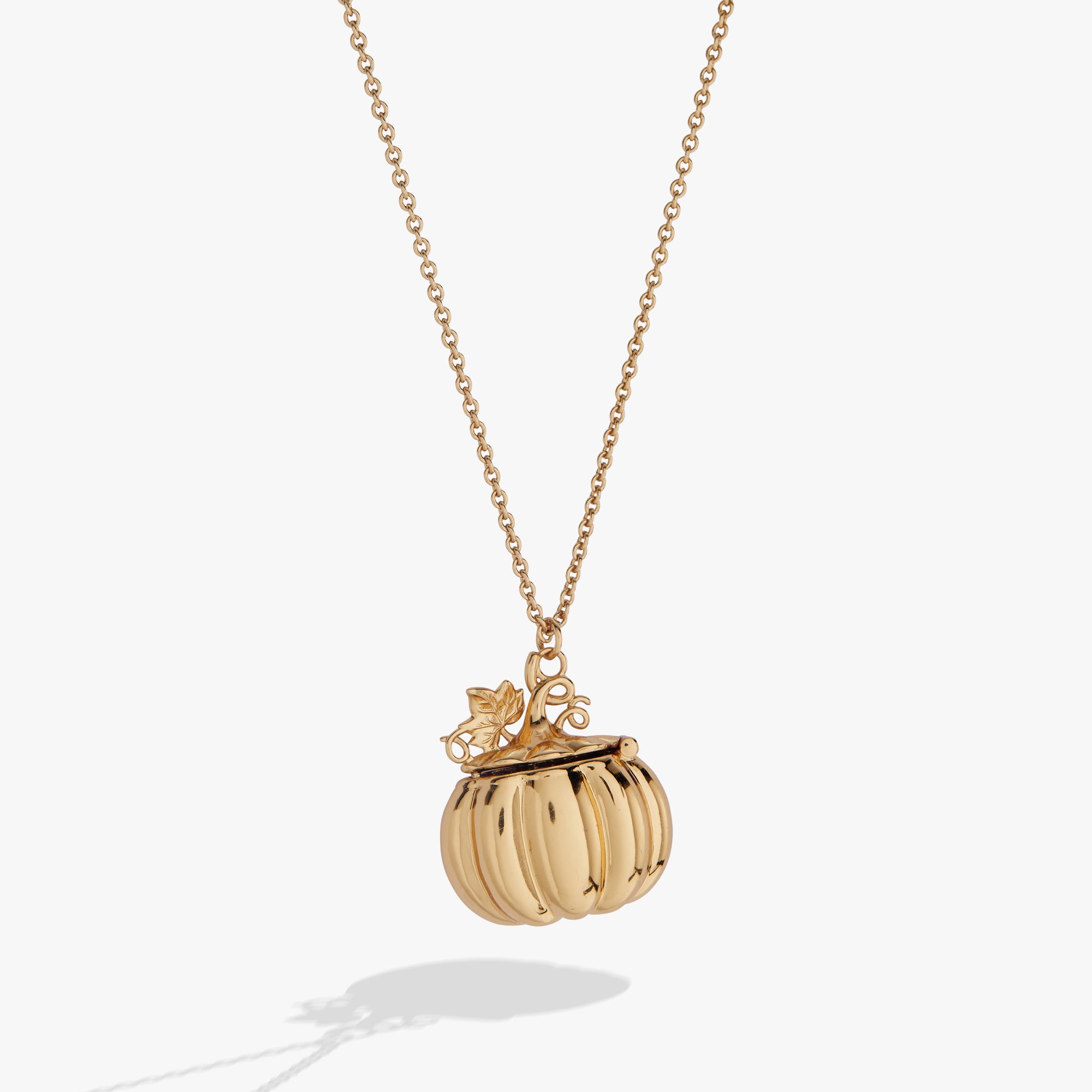 pumpkin-patch-locket-necklace-1-AO260507FSG