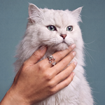 alex-and-ani_feline-jewelry-swap-editorial_260703_58d941 1