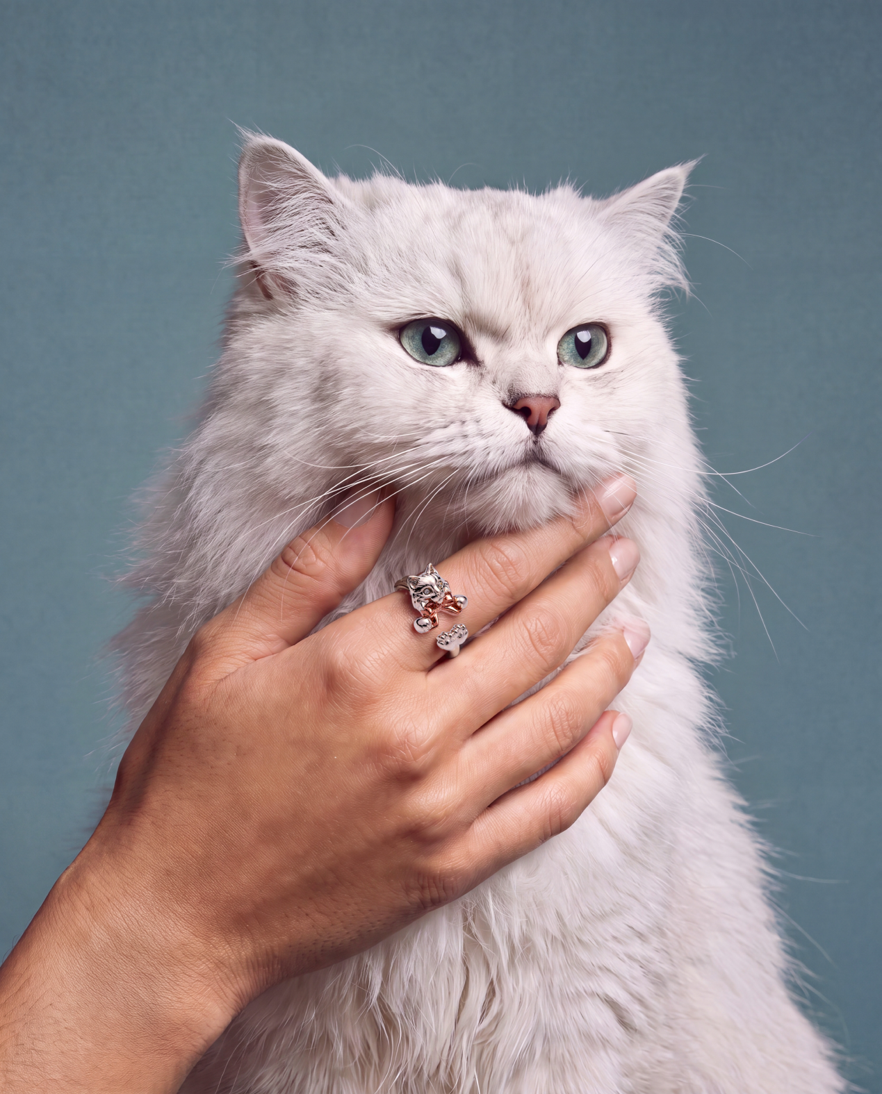 alex-and-ani_feline-jewelry-swap-editorial_260703_58d941 1