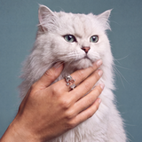 alex-and-ani_feline-jewelry-swap-editorial_260703_58d941 1