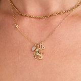 Capricorn Zodiac Charm Cluster Necklace