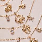 Capricorn Zodiac Charm Cluster Necklace