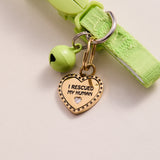 I Love My Dog Bangle & Charm, Set of 2