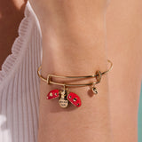 'Make Your Own Luck' Ladybug Charm Bangle