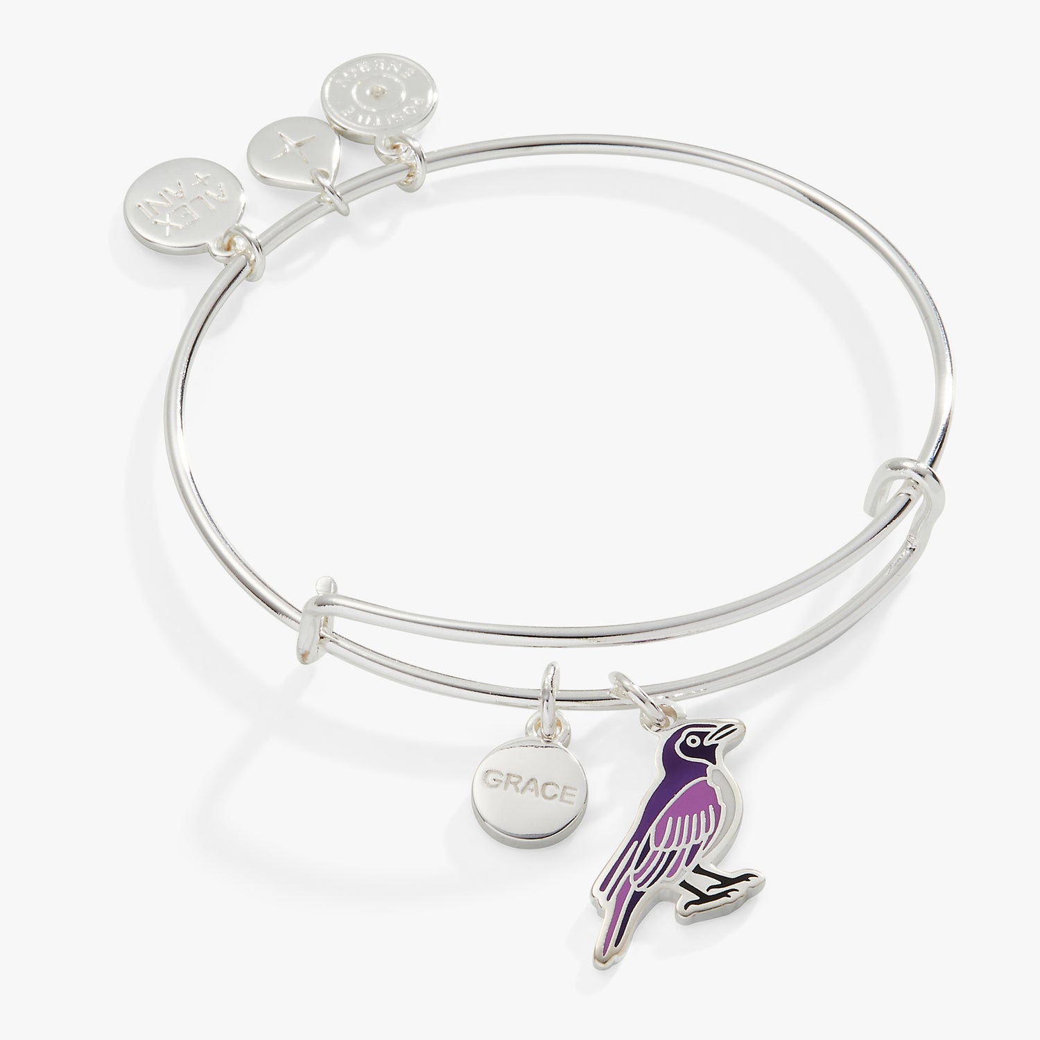 Grace' Violet Backed Starling Charm Bangle – ALEX AND ANI