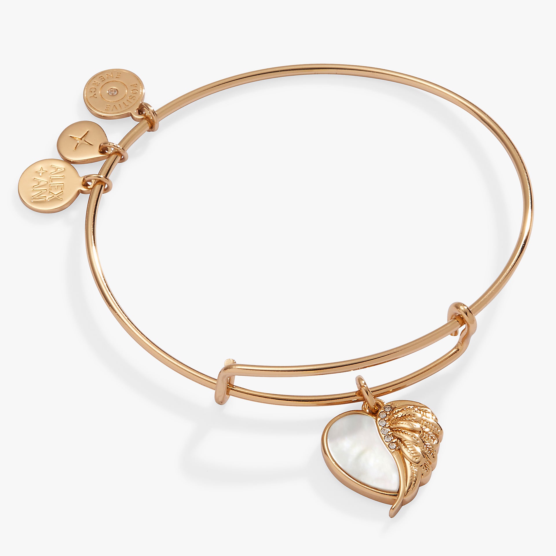 Andy And Ani Bracelet Wings Of Protection Charm Bangle – ALEX
