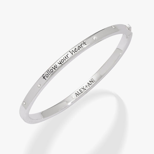 AA813723SS-2_grande.jpg?v=