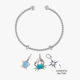 Crabby But Cute Charm Bundle