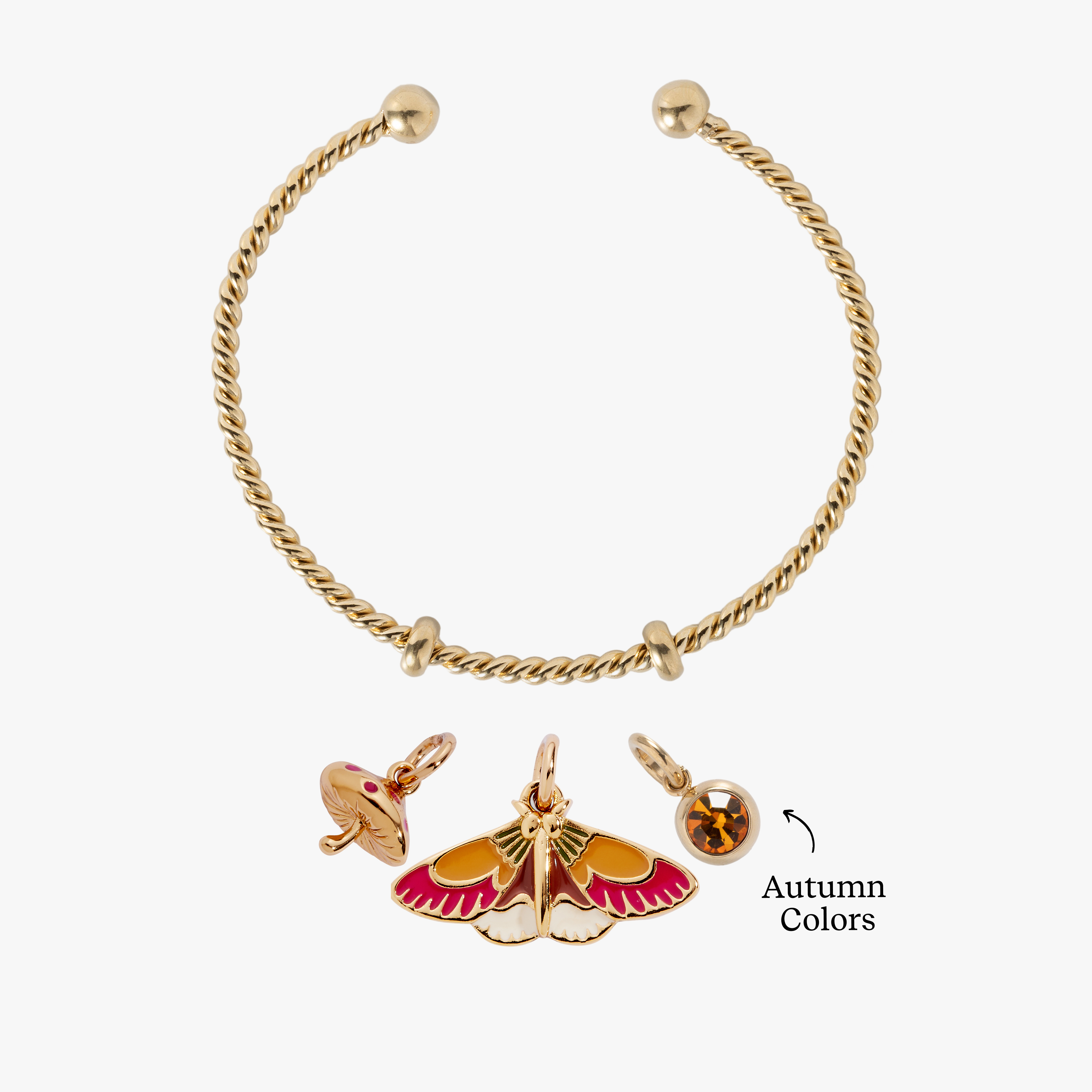 Fall Whimsy Charm Bundle – ALEX AND ANI