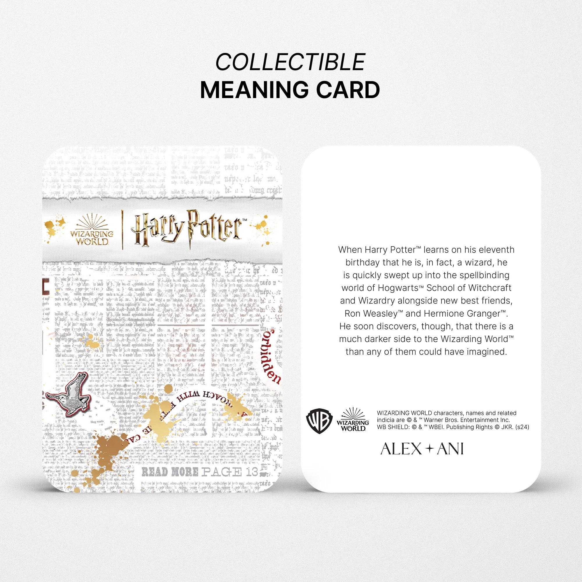 HARRYPOTTERMC