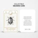 LADYBUGMC