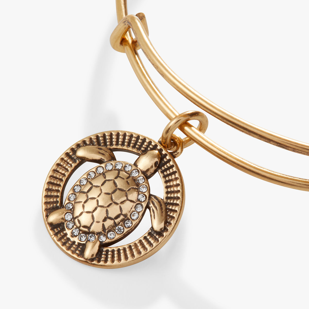 Turtle Bangle Sea Turtle Charm – ALEX AND ANI