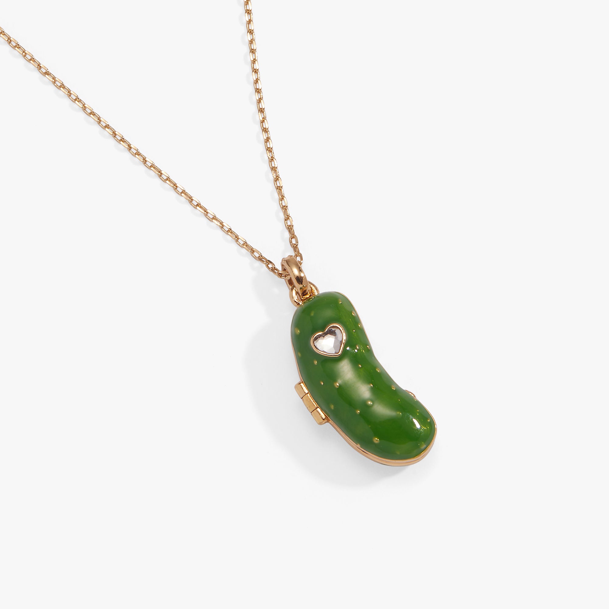 pickle-locket-necklace-2-AO260471FSG