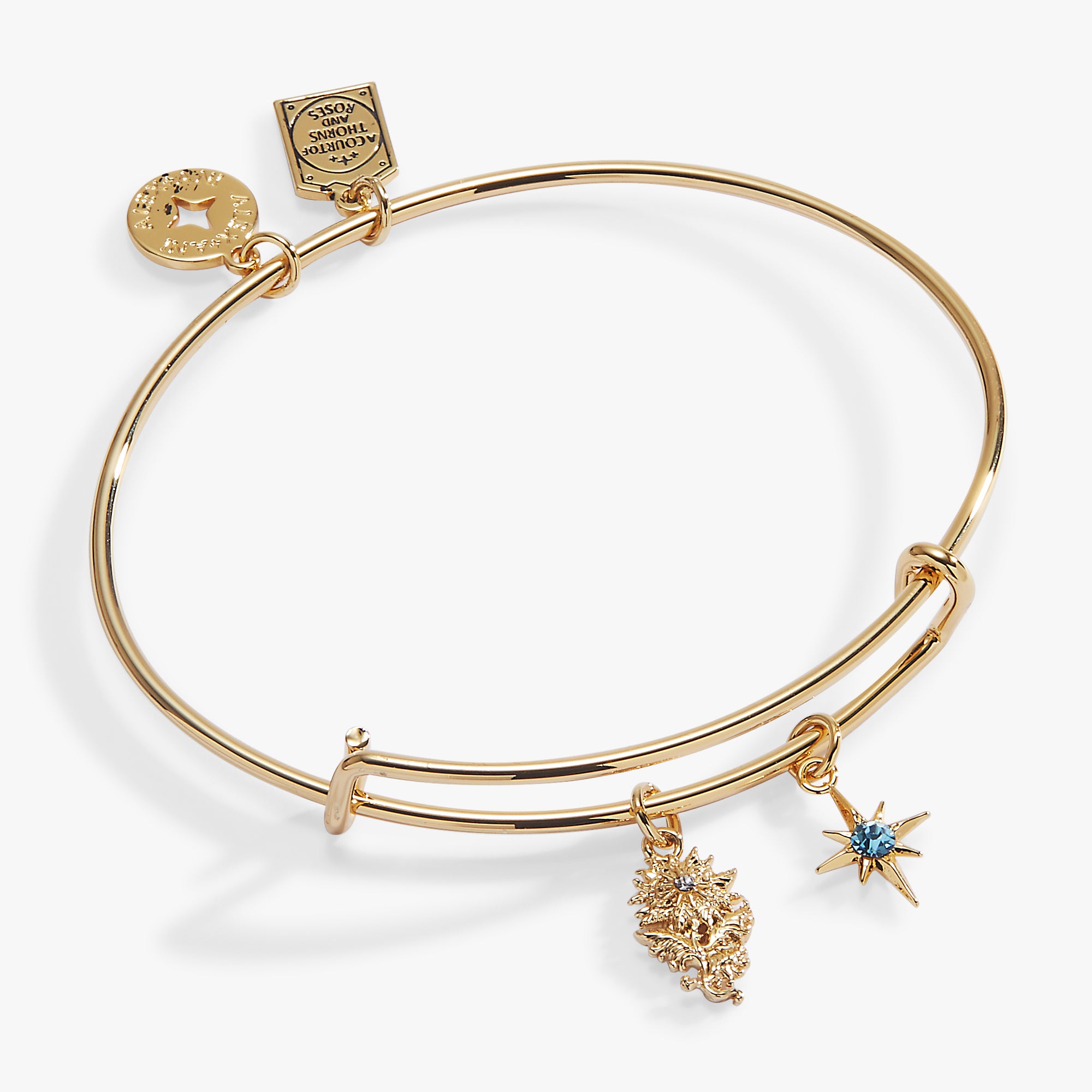 acotar-acofas-flower-charm-bangle-1-AL260797FSG