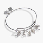 acotar-book-series-multi-charm-bangle-1-AL260791FSS