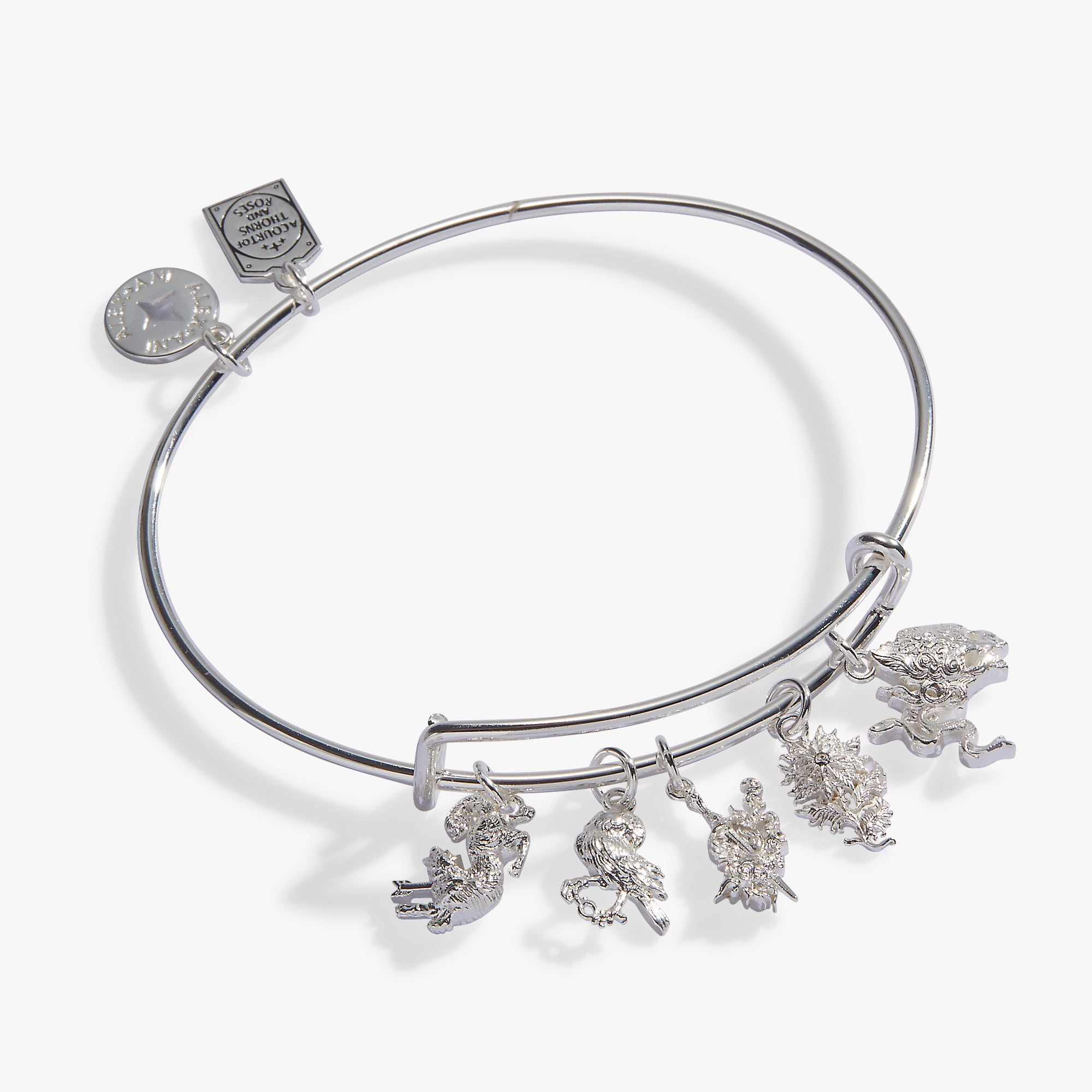 acotar-book-series-multi-charm-bangle-1-AL260791FSS