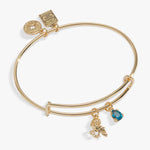 acotar-acomaf-crow-charm-bangle-1-AL260795FSG