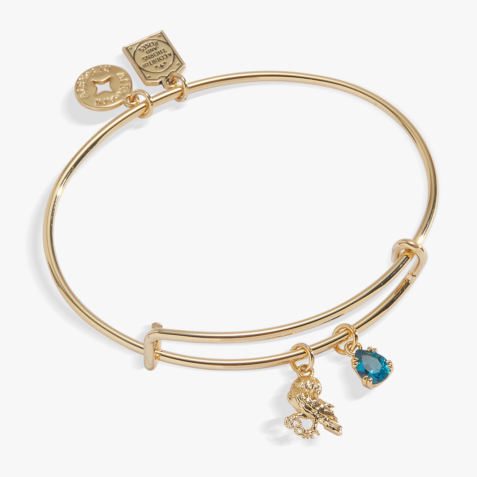 acotar-acomaf-crow-charm-bangle-1-AL260795FSG